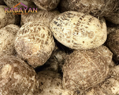 Taro / Gabi (Small) 1 to 1.5lbs