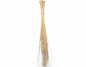 Walis Tingting Broom