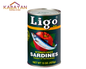 Ligo brand sardines can in tomato sauce on a white background